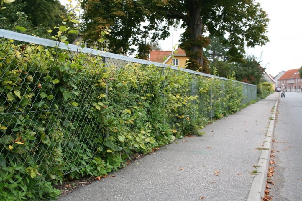 Fletvæv – J/C Hegn